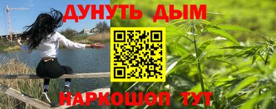 крисы Краснознаменск