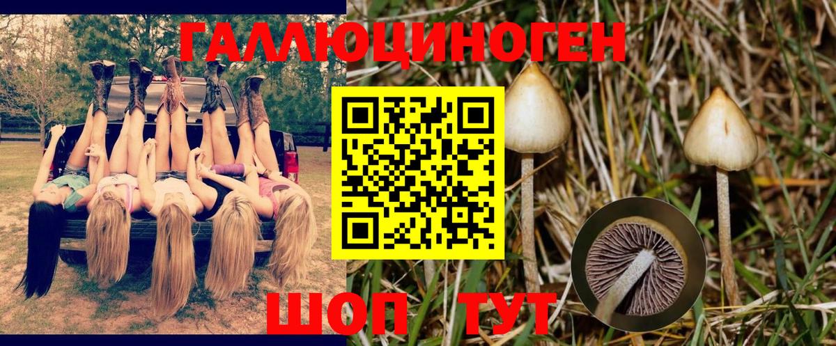 Псилоцибиновые грибы MAGIC MUSHROOMS  Вход с VPN  Псилоцибиновые грибы Cubensis  Балтийск 