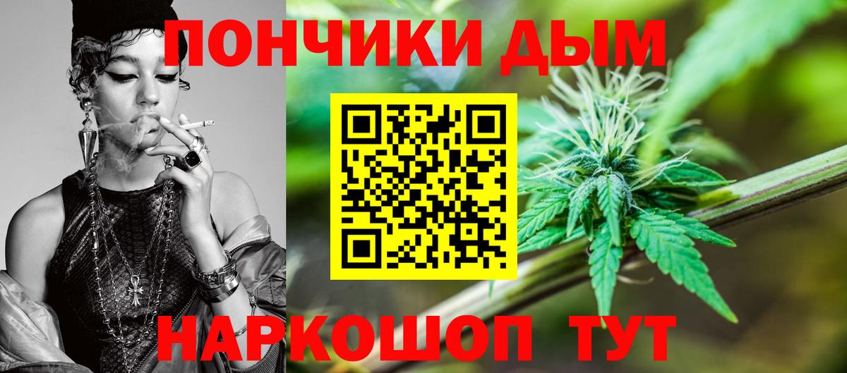 Шишки марихуана сатива Балтийск